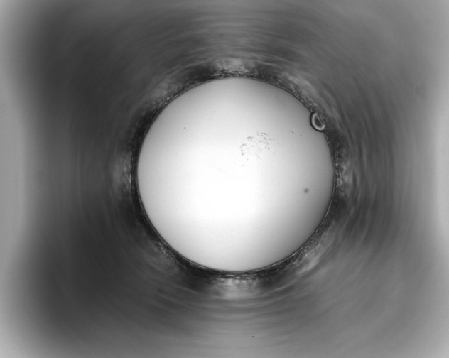 X0000096960466200802221346