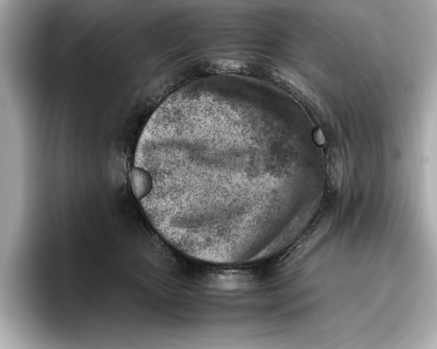 X0000096960467200802221346