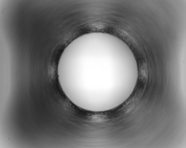 X0000096960468200802221346