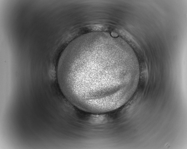 X0000096960469200802221346