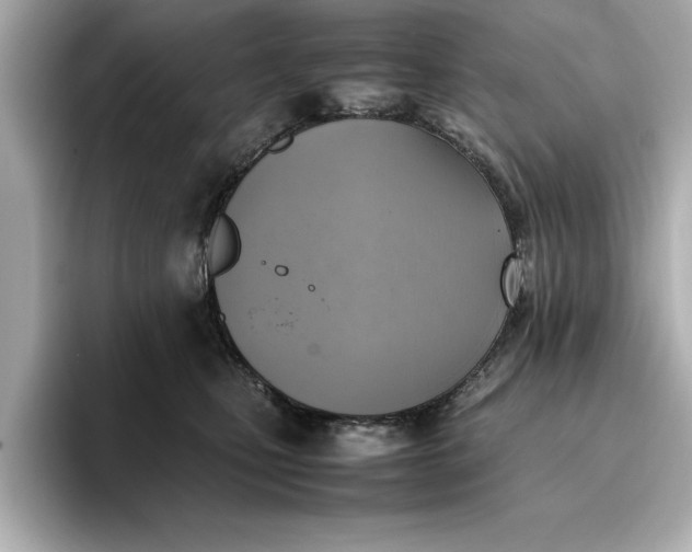 X0000096960471200802221346