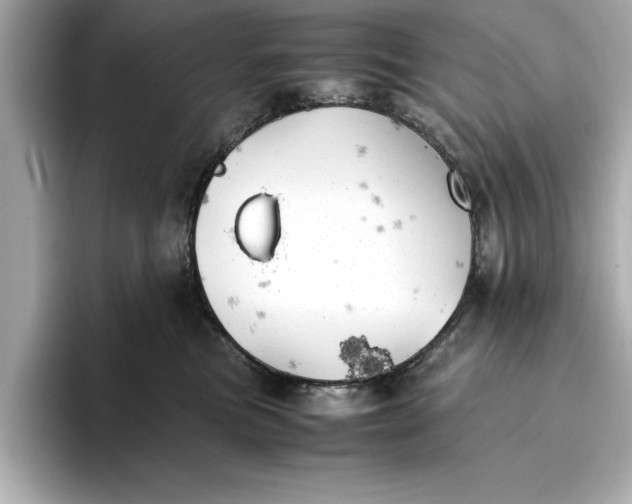 X0000096960473200802221346