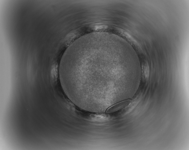 X0000096960475200802221346