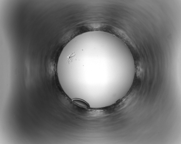 X0000096960476200802221346