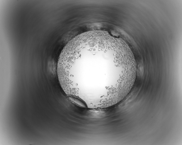 X0000096960477200802221346