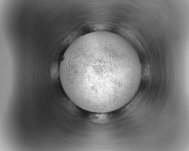 X0000096960478200802221346