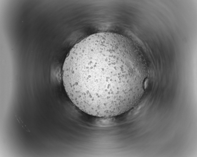 X0000096960479200802221346