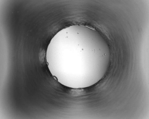 X0000096960480200802221346