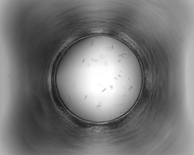 X0000096960482200802221345