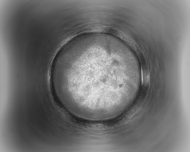 X0000096960483200802221345