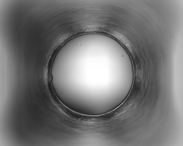 X0000096960485200802221345