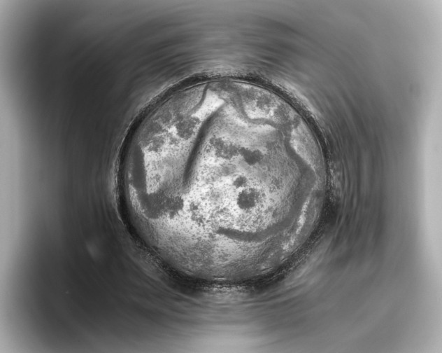 X0000096960487200802221345