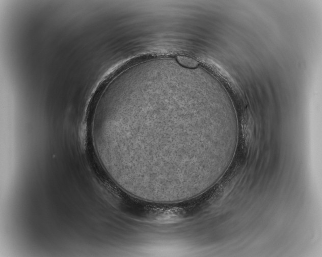 X0000096960488200802221345