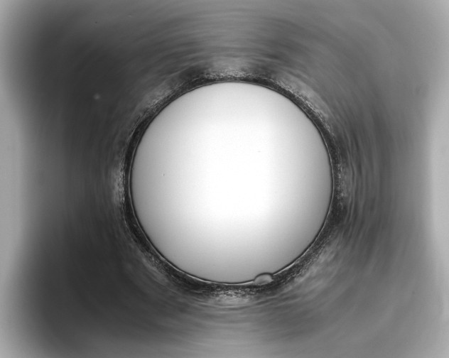 X0000096960489200802221345