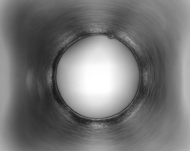 X0000096960490200802221345