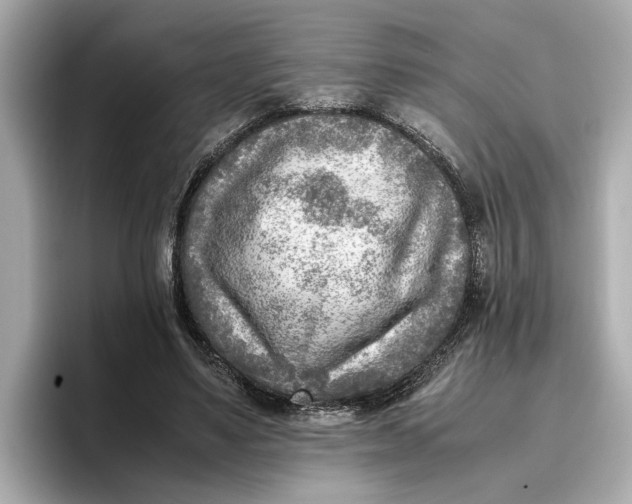 X0000096960491200802221345