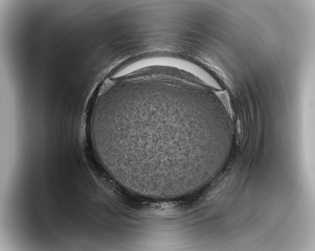 X0000096960492200802221345