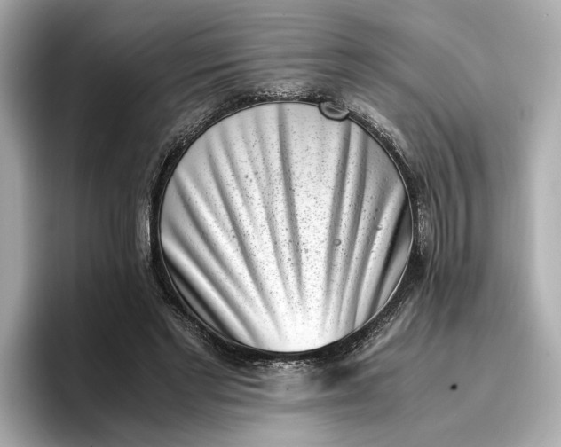 X0000096960493200802221345