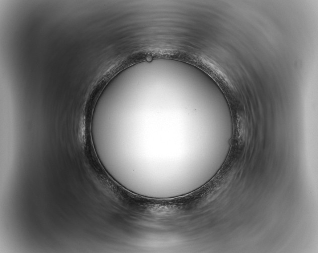 X0000096960494200802221345