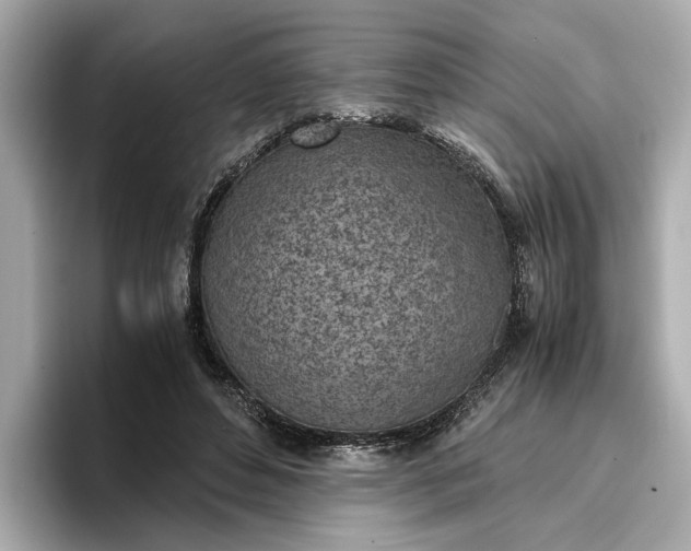 X0000096960496200802221345