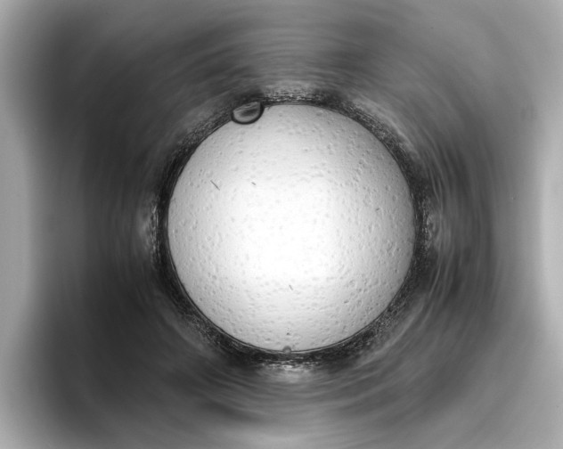 X0000096960498200802221345