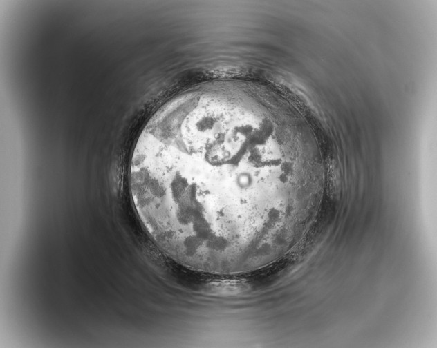 X0000096960499200802221345