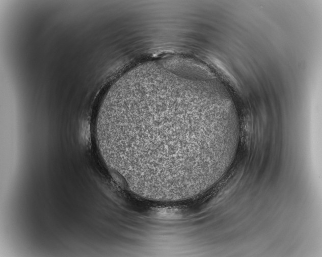 X0000096960500200802221345