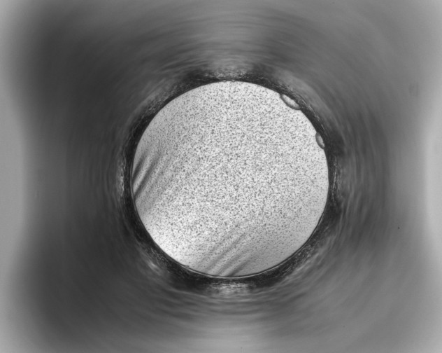 X0000096960501200802221345