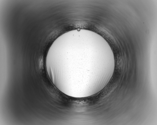 X0000096960502200802221345