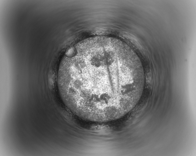 X0000096960503200802221345