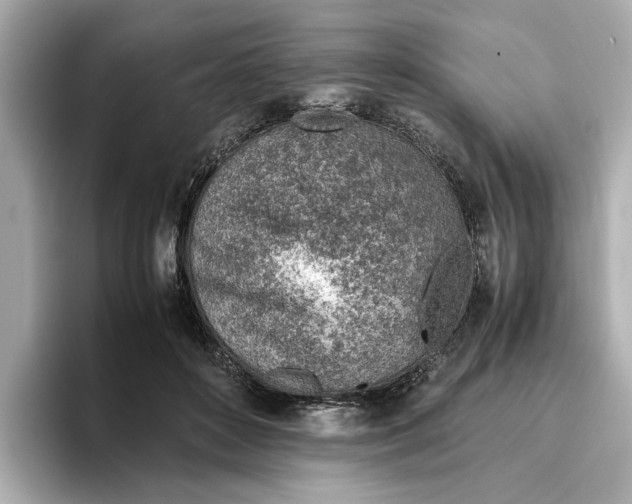 X0000096960504200802221345