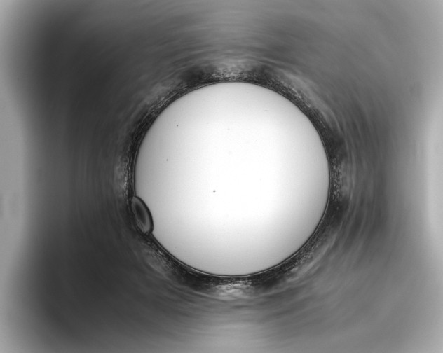 X0000096960505200802221345