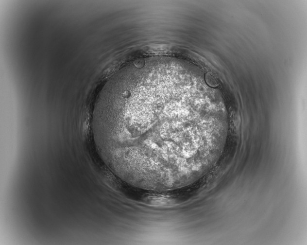 X0000096960507200802221345