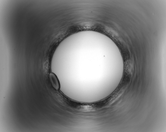 X0000096960509200802221345