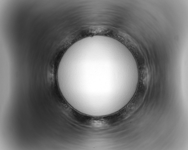 X0000096960510200802221345