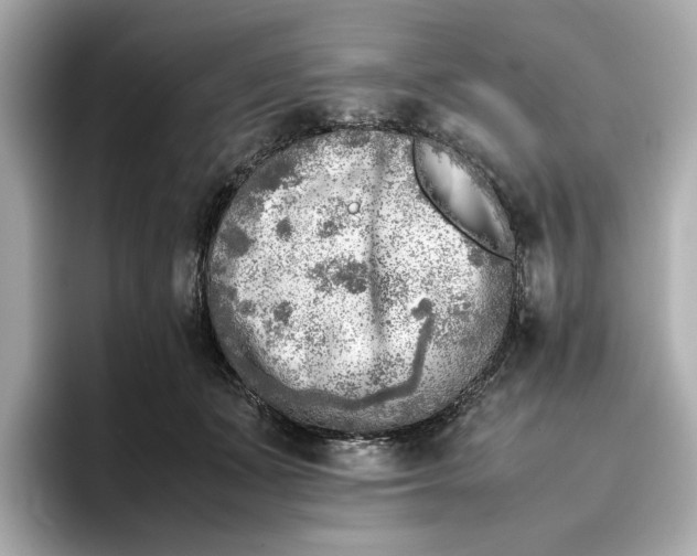 X0000096960511200802221345