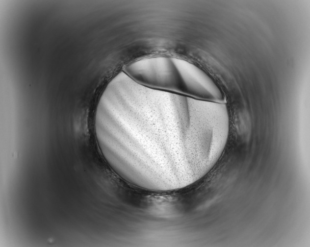 X0000096960512200802221345