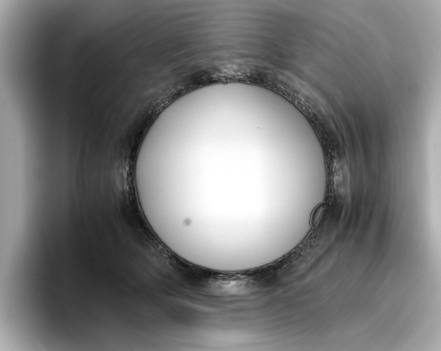 X0000096960514200802221345