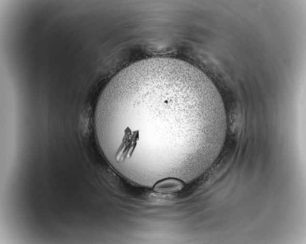 X0000096960515200802221345