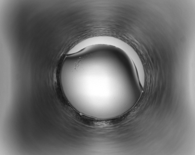 X0000096960516200802221345