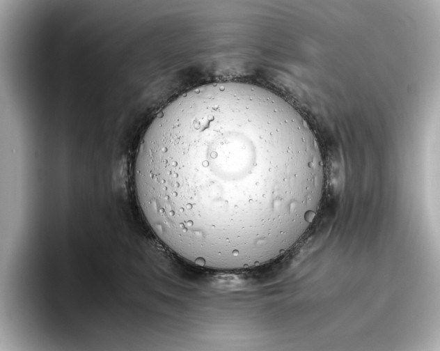 X0000096960519200802221345