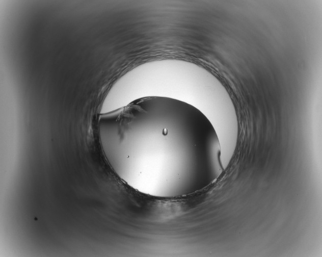 X0000096960520200802221345