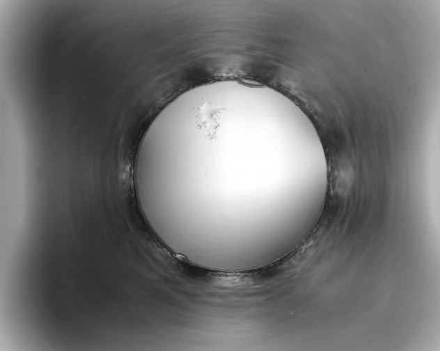 X0000096960521200802221345