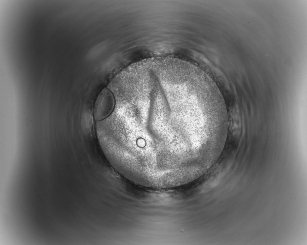 X0000096960523200802221345