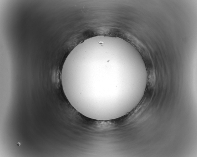 X0000096960525200802221345