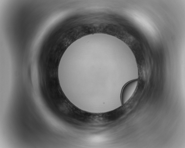 X0000096960526200802221345