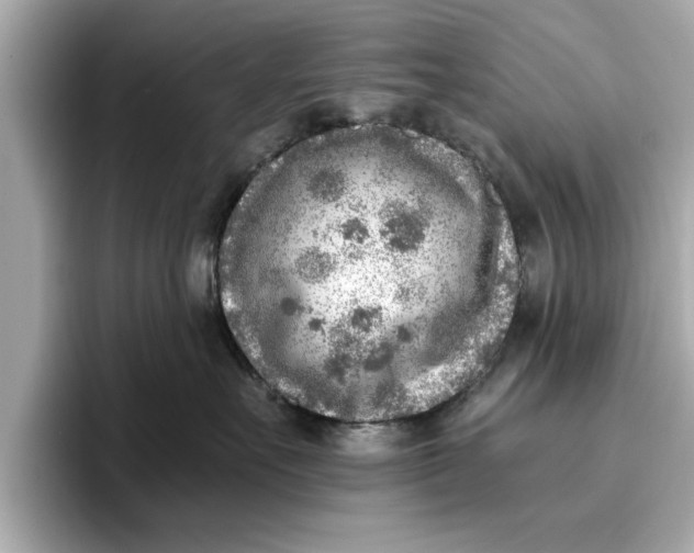 X0000096960527200802221345