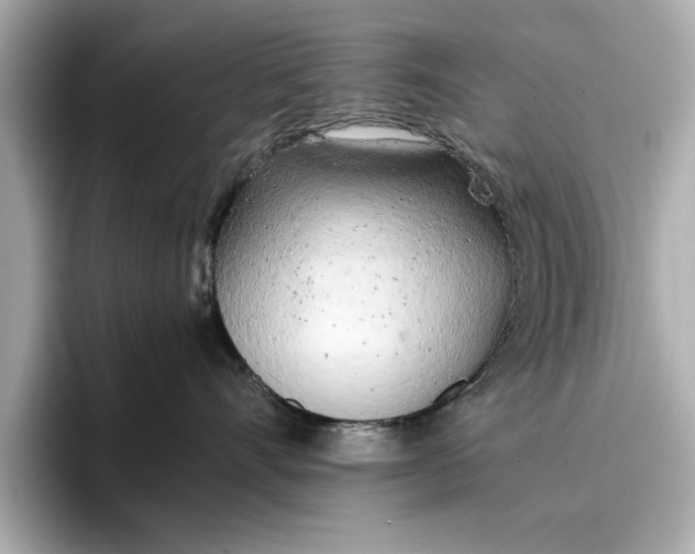 X0000096960528200802221344