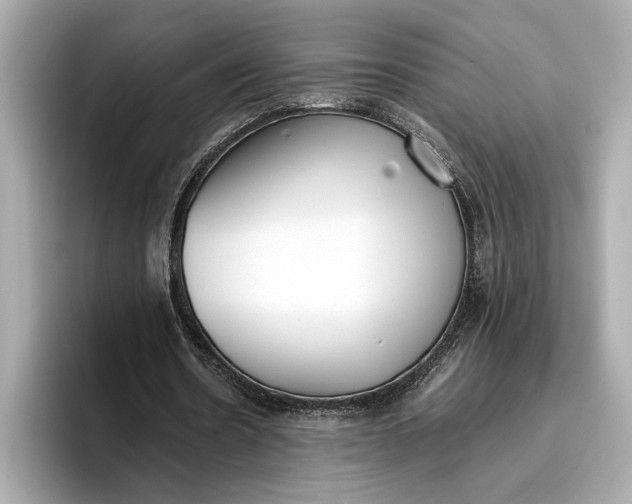 X0000096960530200802221344