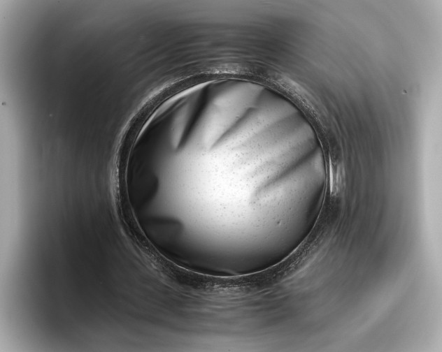 X0000096960531200802221344